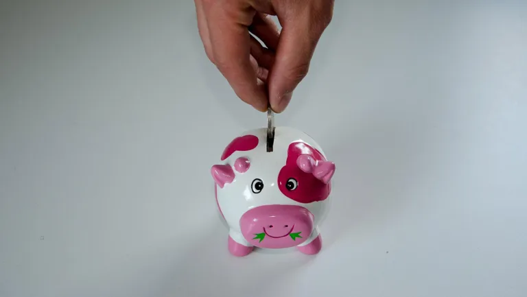 TFSA vs RRSP مهاجران کانادا